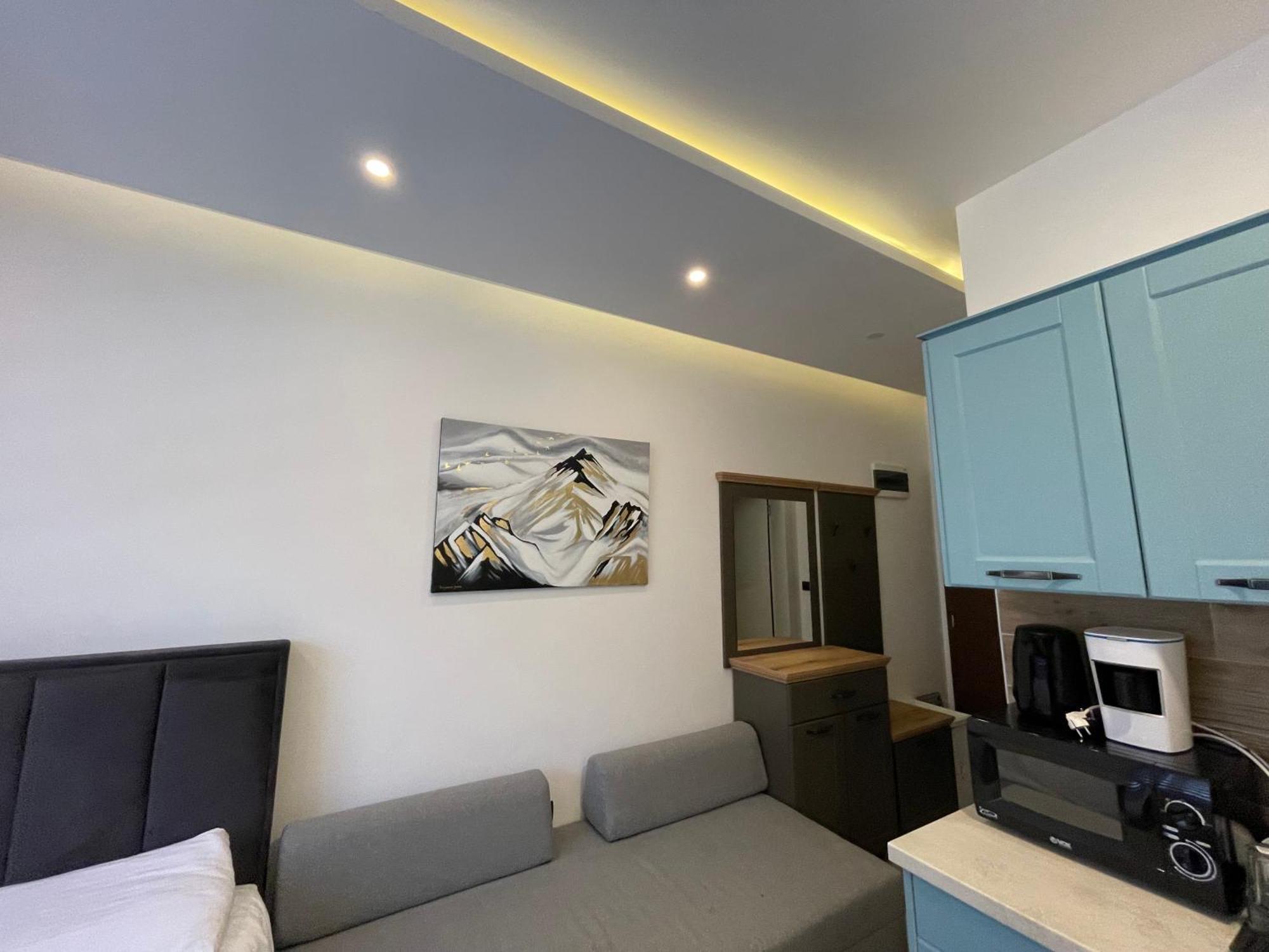 Apartman Rastko-N Lux 32 Milmari コパオニク エクステリア 写真